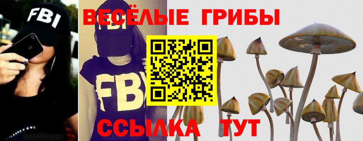 Галлюциногенные грибы прущие грибы  Вход с VPN  Вязьма 